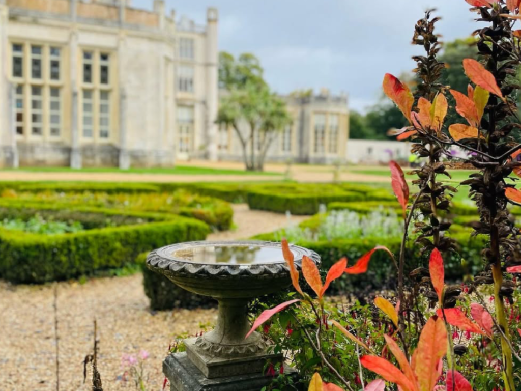October in Christchurch: 7 Brilliant Things to See, Do and Enjoy