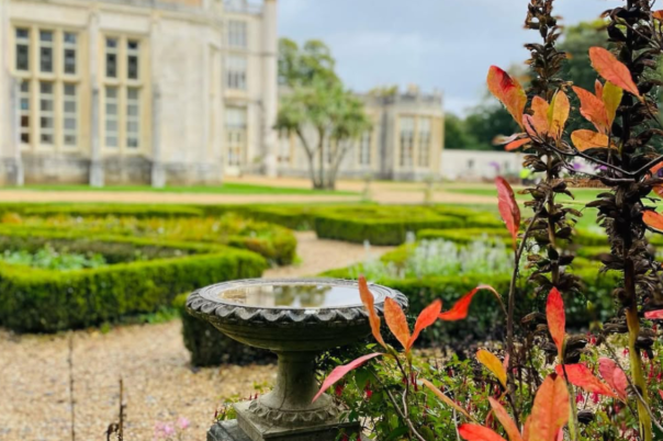 October in Christchurch: 5 Brilliant Things to See, Do and Enjoy