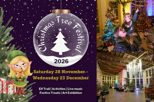Christmas Events in Christchurch 2026: Markets, Santa and Festive Days Out