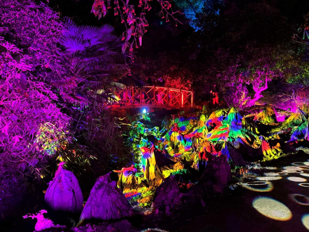 October in Dorset: 7 Brilliant Things to See, Do and Enjoy