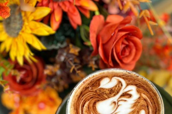 FIND Top Rated Cafes in Westbourne To Suit your Style