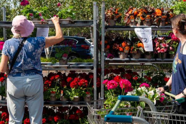 7 Independent Gift and Homeware Shops in Christchurch Worth Discovering