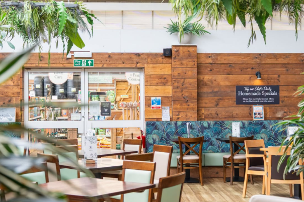 7 Independent Gift and Homeware Shops in Christchurch Worth Discovering