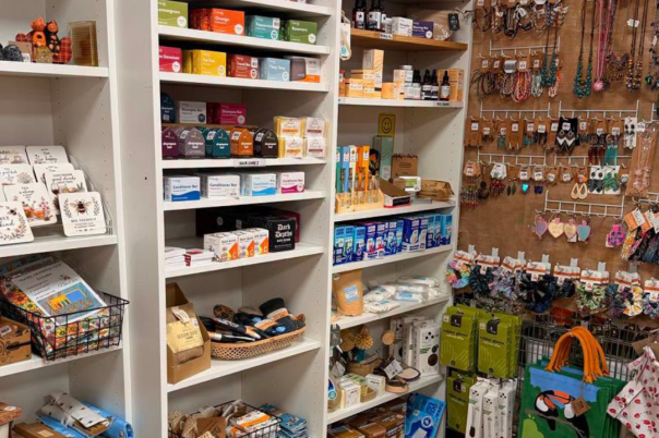 7 Independent Gift and Homeware Shops in Christchurch Worth Discovering
