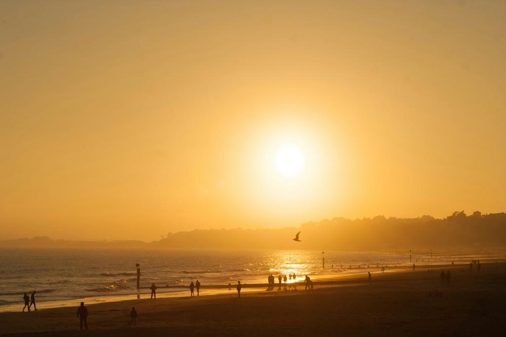 September in Bournemouth: 7 Brilliant Things to See, Do and Enjoy