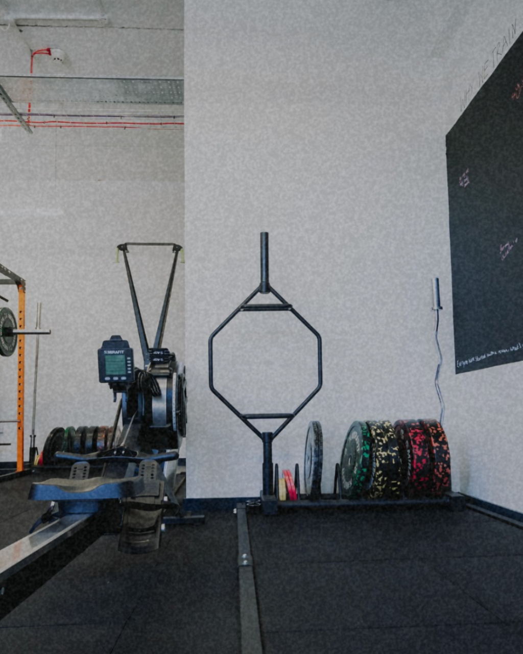 Gyms in Christchurch: 7 Fitness Studios and Health Clubs to Try