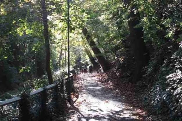 Why Westbourne Is Becoming One of Bournemouth’s Best Places for a Day Out