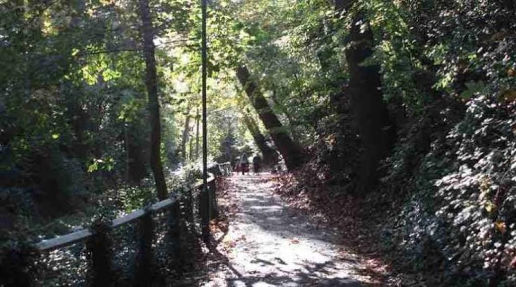 Why Westbourne Is Becoming One of Bournemouth’s Best Places for a Day Out