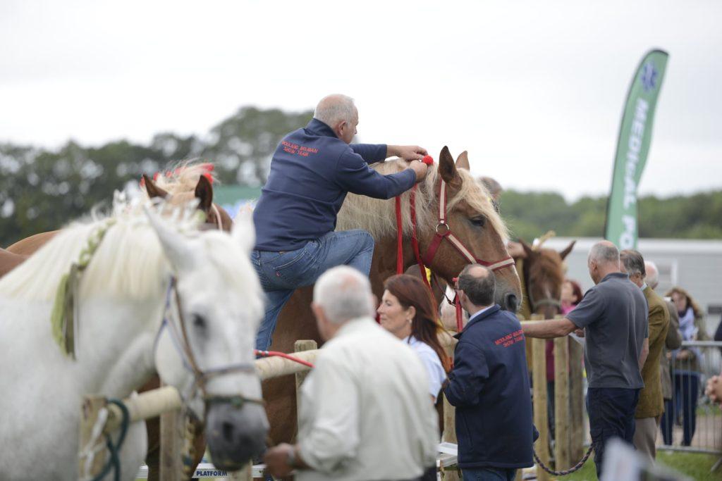 Gillingham & Shaftesbury Show | 19 August - 20 August 2026