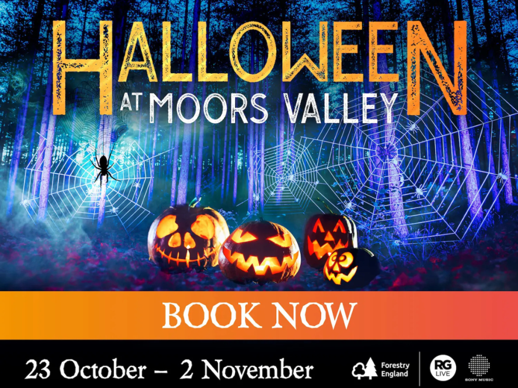 Halloween Events in Christchurch 2026: Pumpkin Picking, Trails and Family Fun