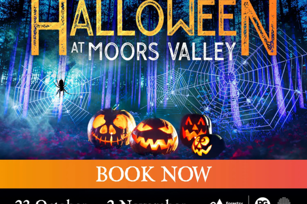 Halloween Events in Christchurch 2026: Pumpkin Picking, Trails and Family Fun