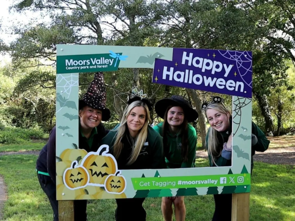 Halloween Events in Christchurch 2026: Pumpkin Picking, Trails and Family Fun