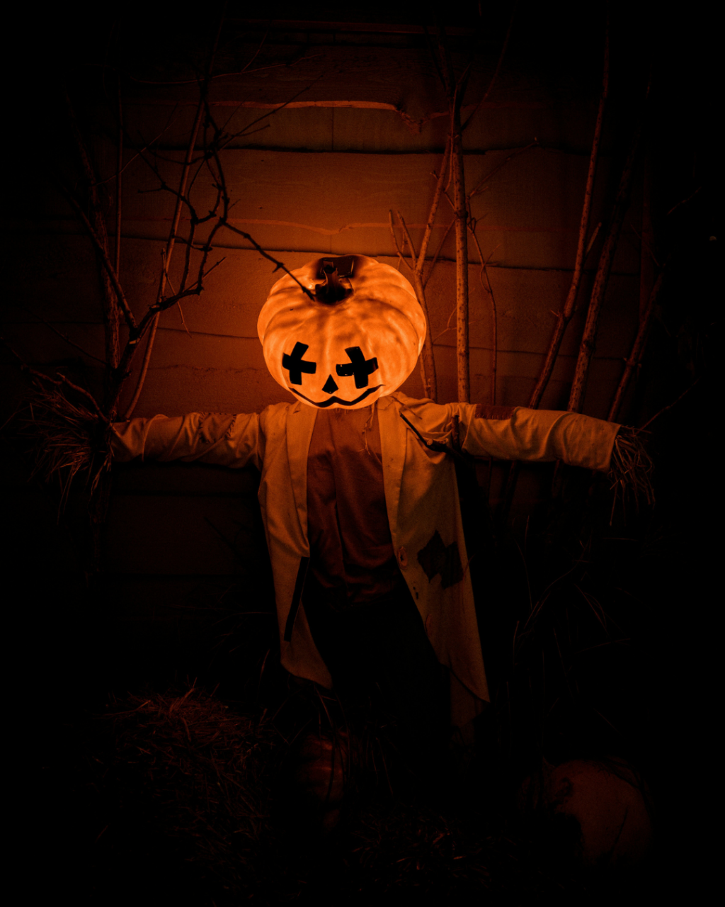 Halloween Events in Christchurch 2026: Pumpkin Picking, Trails and Family Fun
