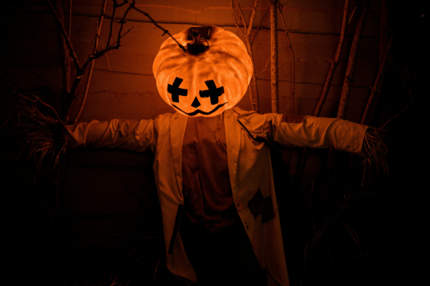 Halloween Events in Christchurch 2026: Pumpkin Picking, Trails and Family Fun
