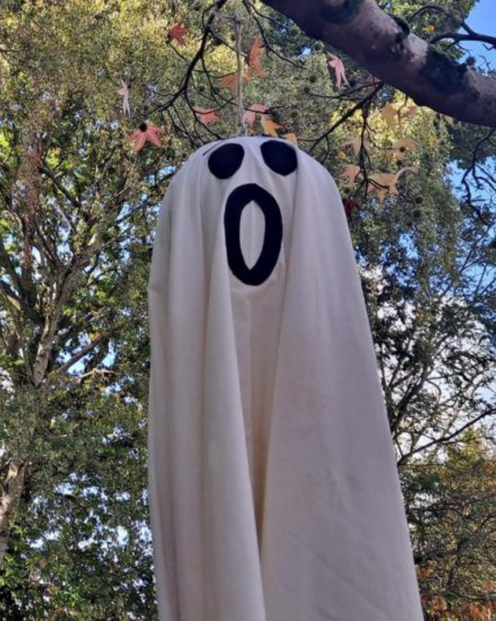 Halloween Events in Christchurch 2026: Pumpkin Picking, Trails and Family Fun