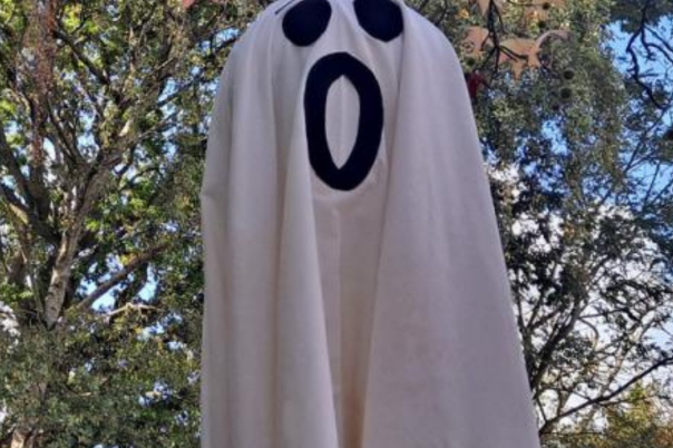Halloween Events in Christchurch 2026: Pumpkin Picking, Trails and Family Fun