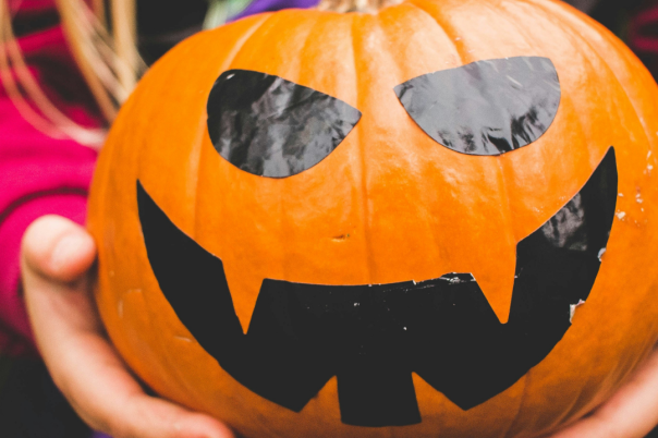 Halloween Events in Christchurch 2026: Pumpkin Picking, Trails and Family Fun