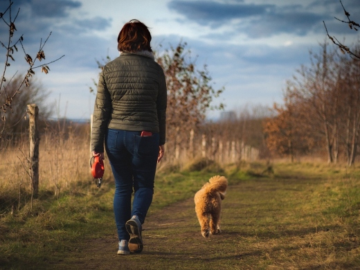 Guide to the Best Walks around Christchurch, Dorset