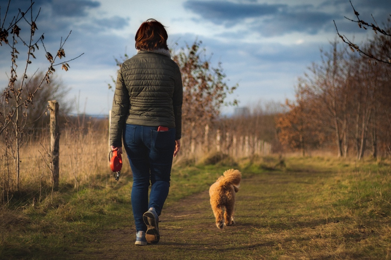 Guide to the Best Walks around Christchurch, Dorset