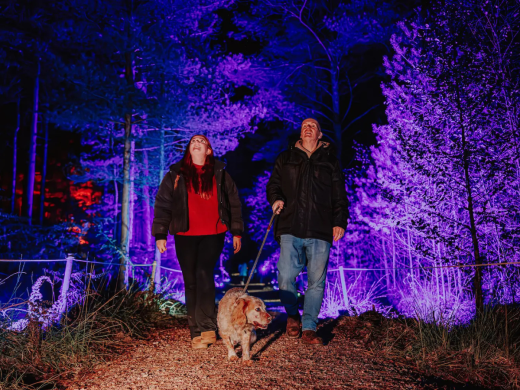 Halloween Events in Dorset 2026: Trails, Pumpkin Picking and Parties
