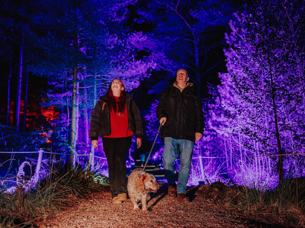 Halloween Events in Dorset 2026: Trails, Pumpkin Picking and Parties