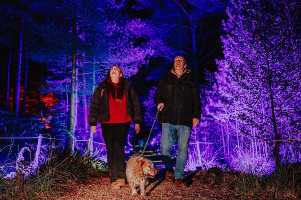 Halloween Events in Dorset 2026: Trails, Pumpkin Picking and Parties