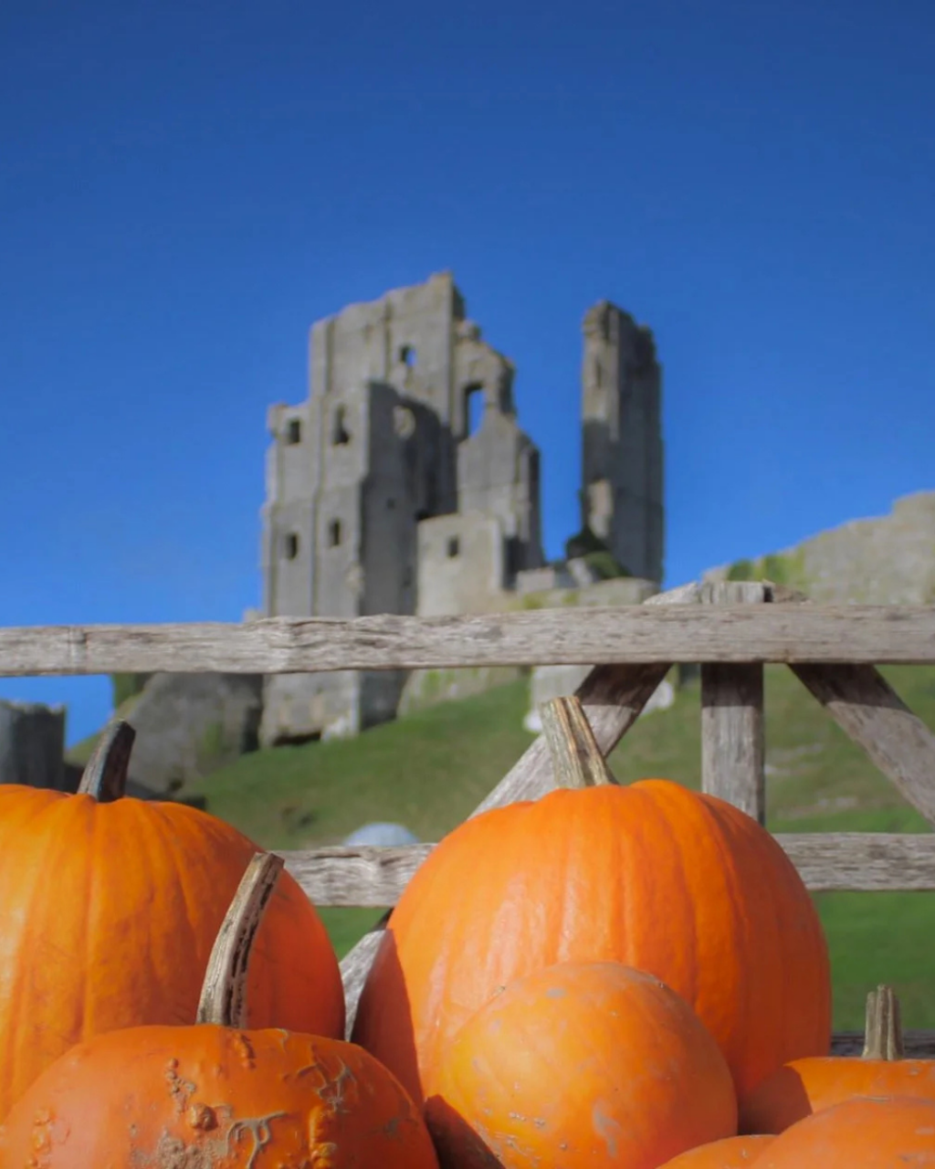 Halloween Events in Dorset 2026: Trails, Pumpkin Picking and Parties