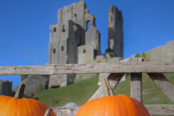 Halloween Events in Dorset 2026: Trails, Pumpkin Picking and Parties