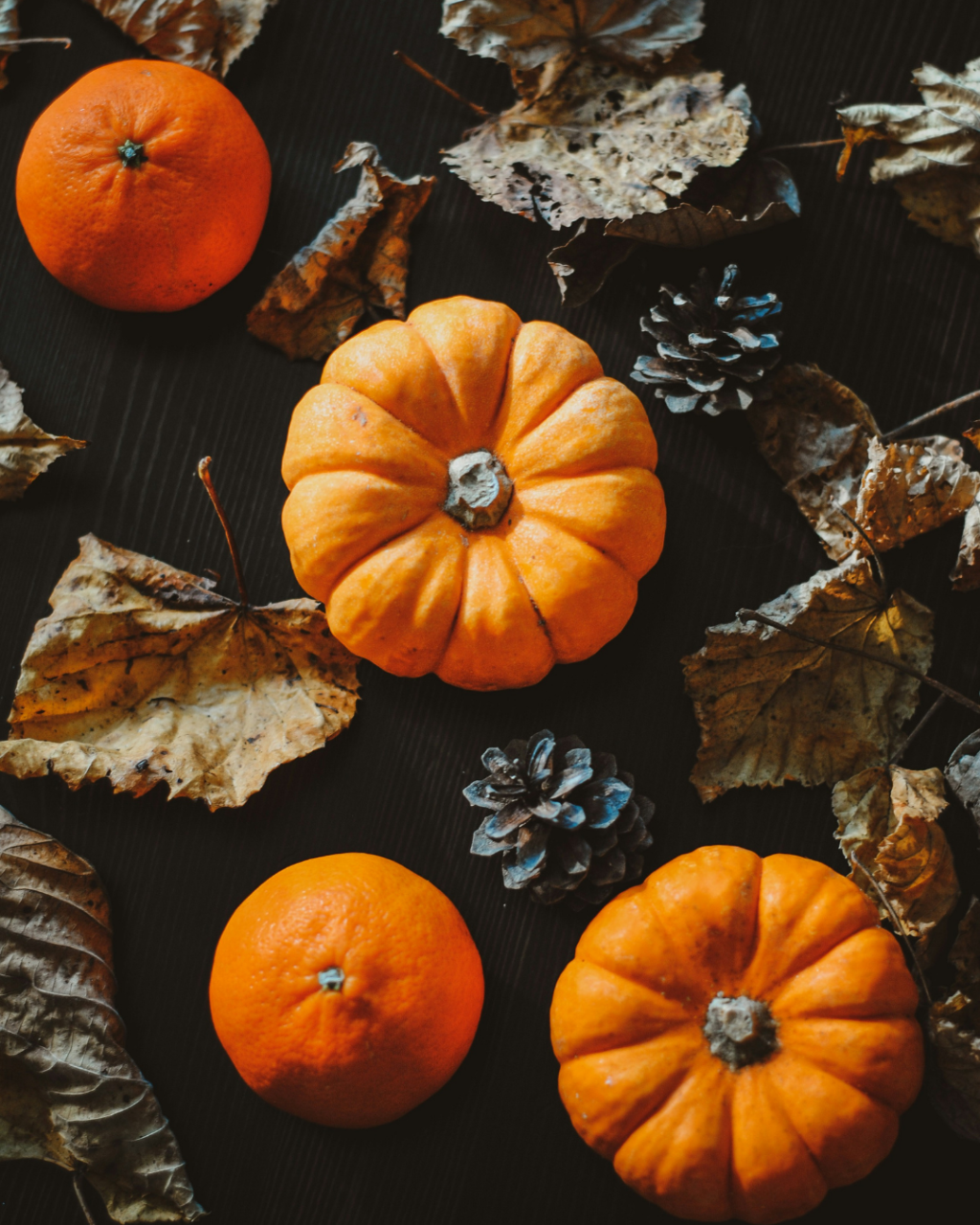 Halloween Events in Dorset 2026: Trails, Pumpkin Picking and Parties