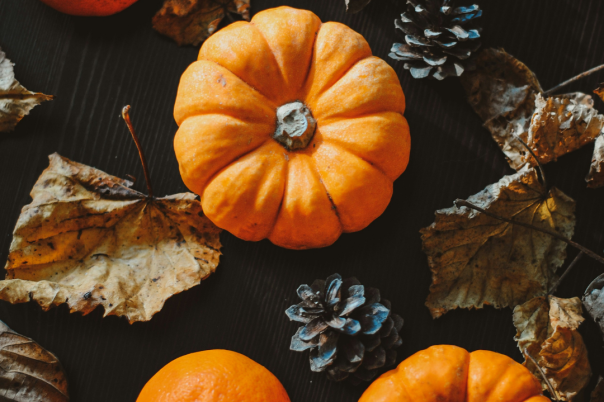Halloween Events in Dorset 2026: Trails, Pumpkin Picking and Parties