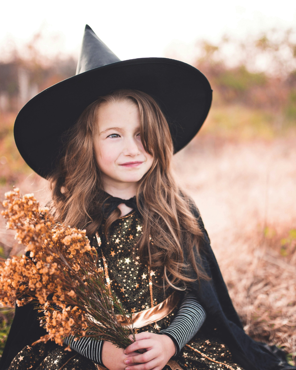 Halloween Events in Dorset 2026: Trails, Pumpkin Picking and Parties