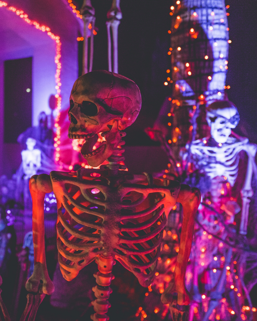 Halloween Events in Dorset 2026: Trails, Pumpkin Picking and Parties