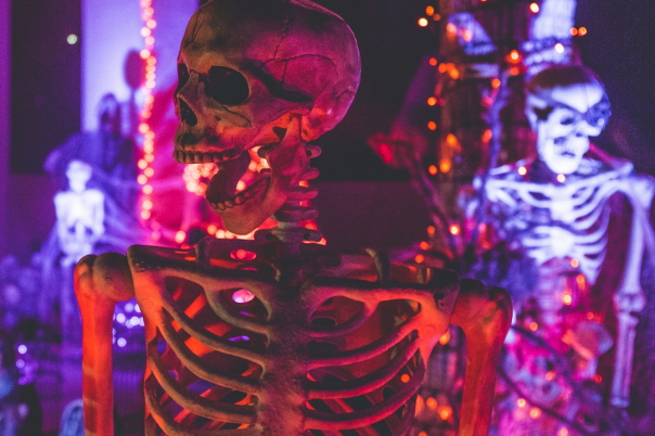 Halloween Events in Dorset 2026: Trails, Pumpkin Picking and Parties