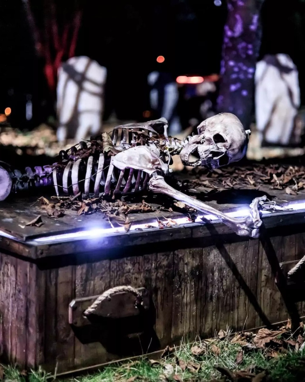 Halloween Events in Dorset 2026: Trails, Pumpkin Picking and Parties