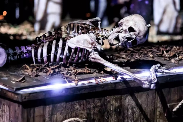 Halloween Events in Dorset 2026: Trails, Pumpkin Picking and Parties