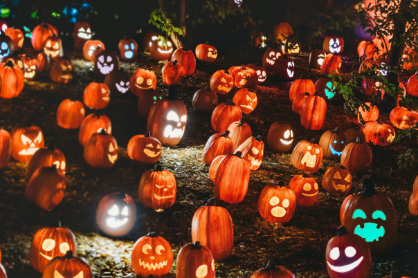 Halloween Events in Dorset 2026: Trails, Pumpkin Picking and Parties