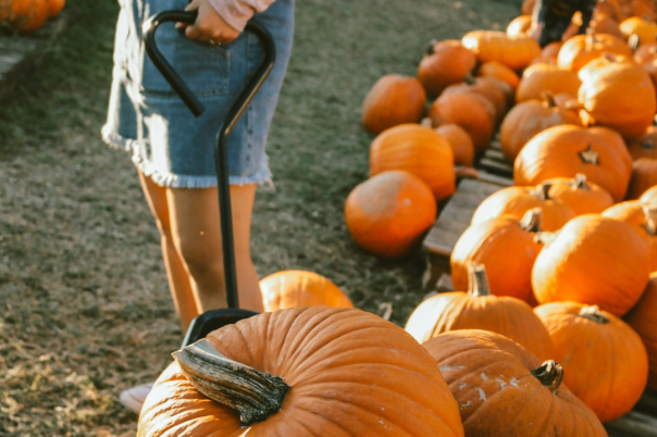 Halloween Events in Dorset 2026: Trails, Pumpkin Picking and Parties