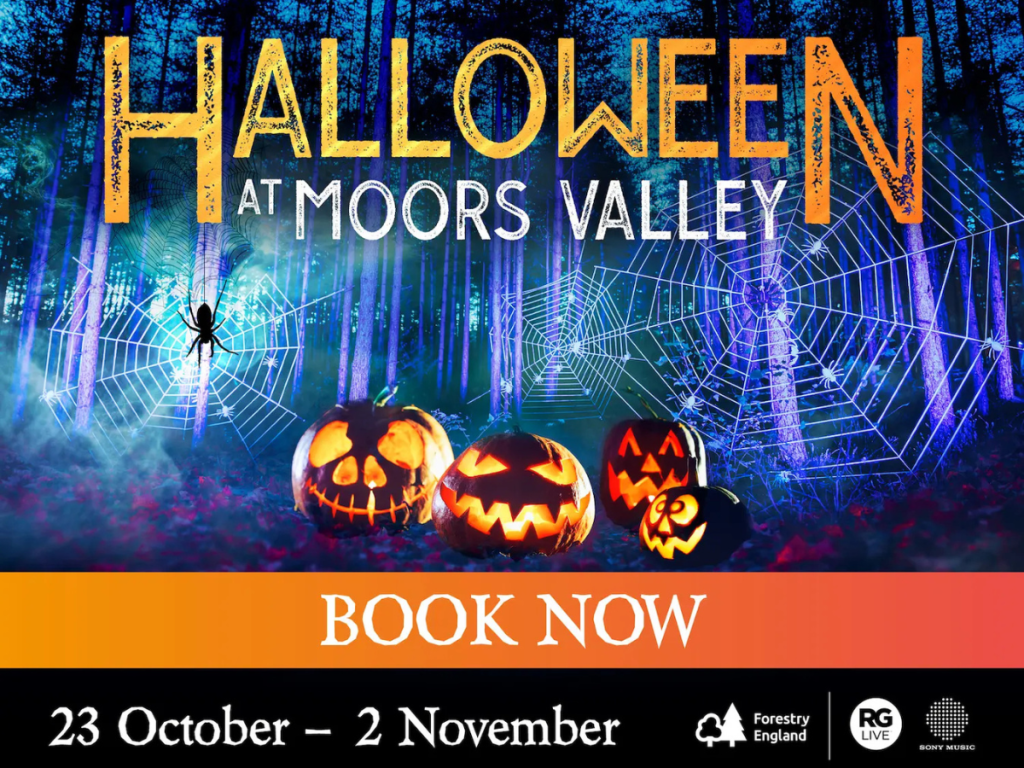 Halloween Events in Dorset 2026: Trails, Pumpkin Picking and Parties