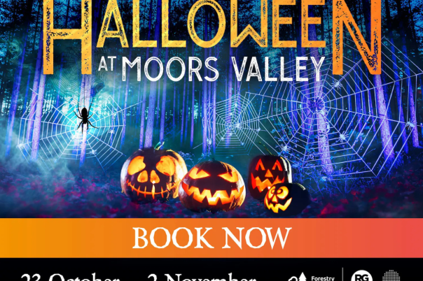 Halloween Events in Dorset 2026: Trails, Pumpkin Picking and Parties