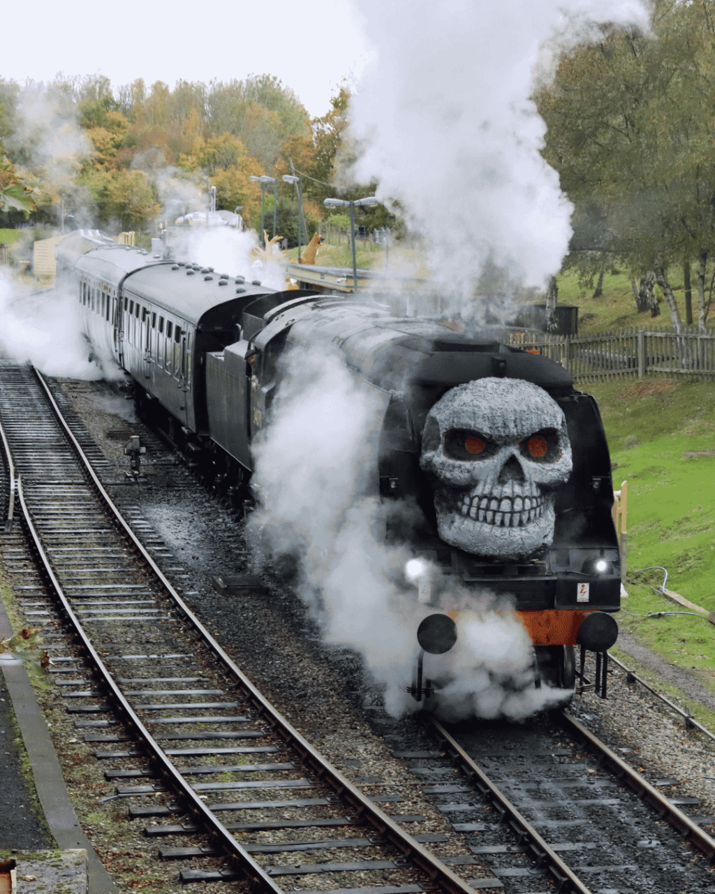 Halloween Events in Dorset 2026: Trails, Pumpkin Picking and Parties