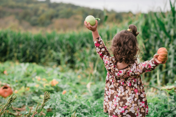 Halloween Events in Dorset 2026: Trails, Pumpkin Picking and Parties