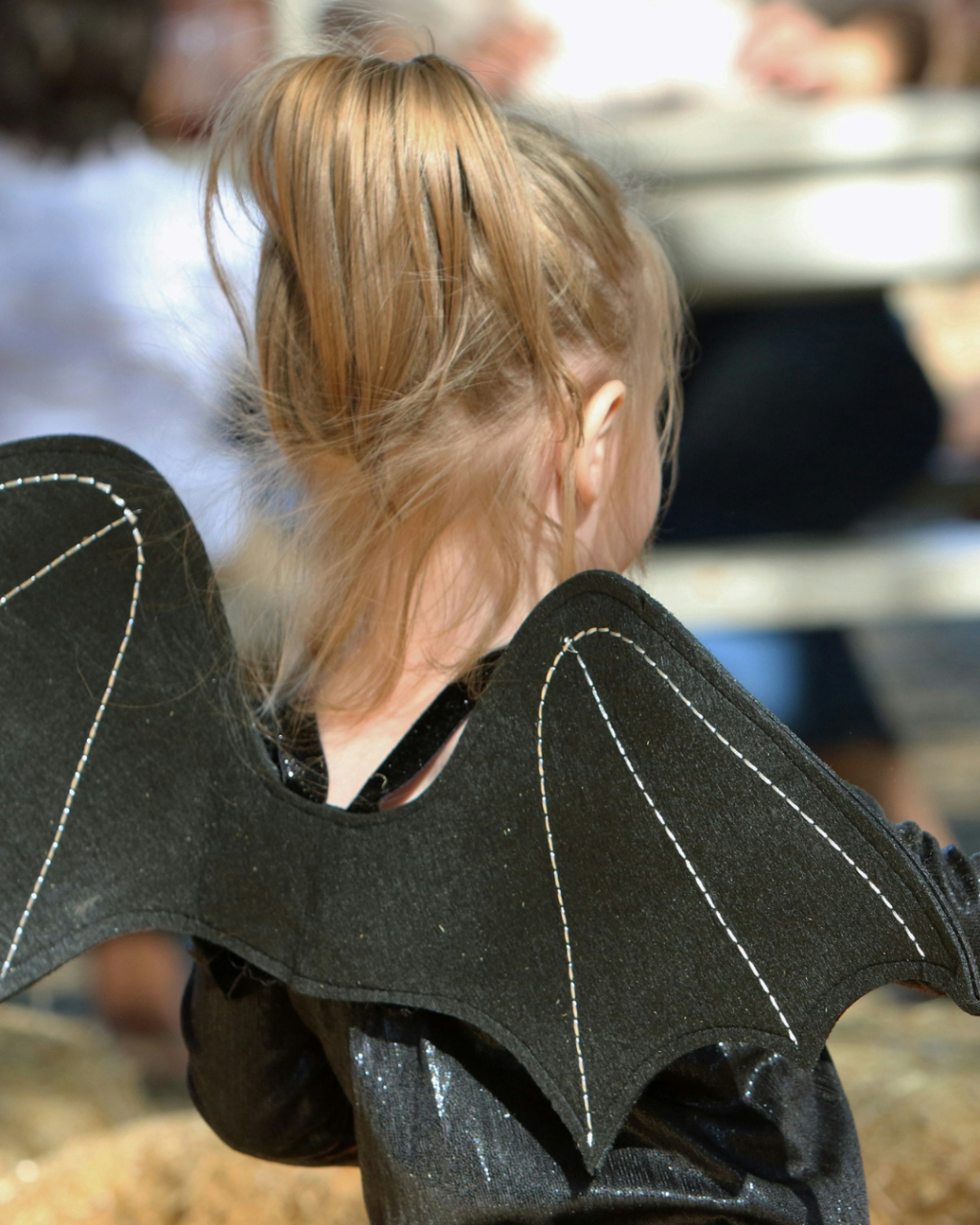 Halloween Events in Dorset 2026: Trails, Pumpkin Picking and Parties