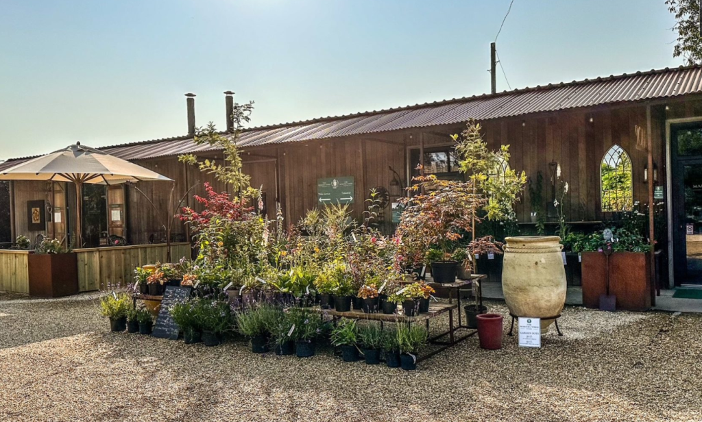 Five Picture-Perfect Places to Eat in Dorset