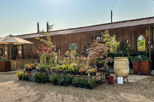 Five Picture-Perfect Places to Eat in Dorset
