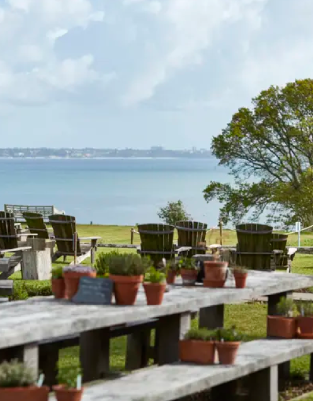 Five Picture-Perfect Places to Eat in Dorset