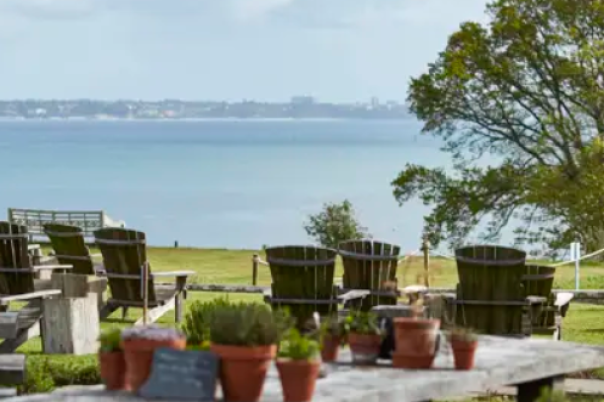 Five Picture-Perfect Places to Eat in Dorset