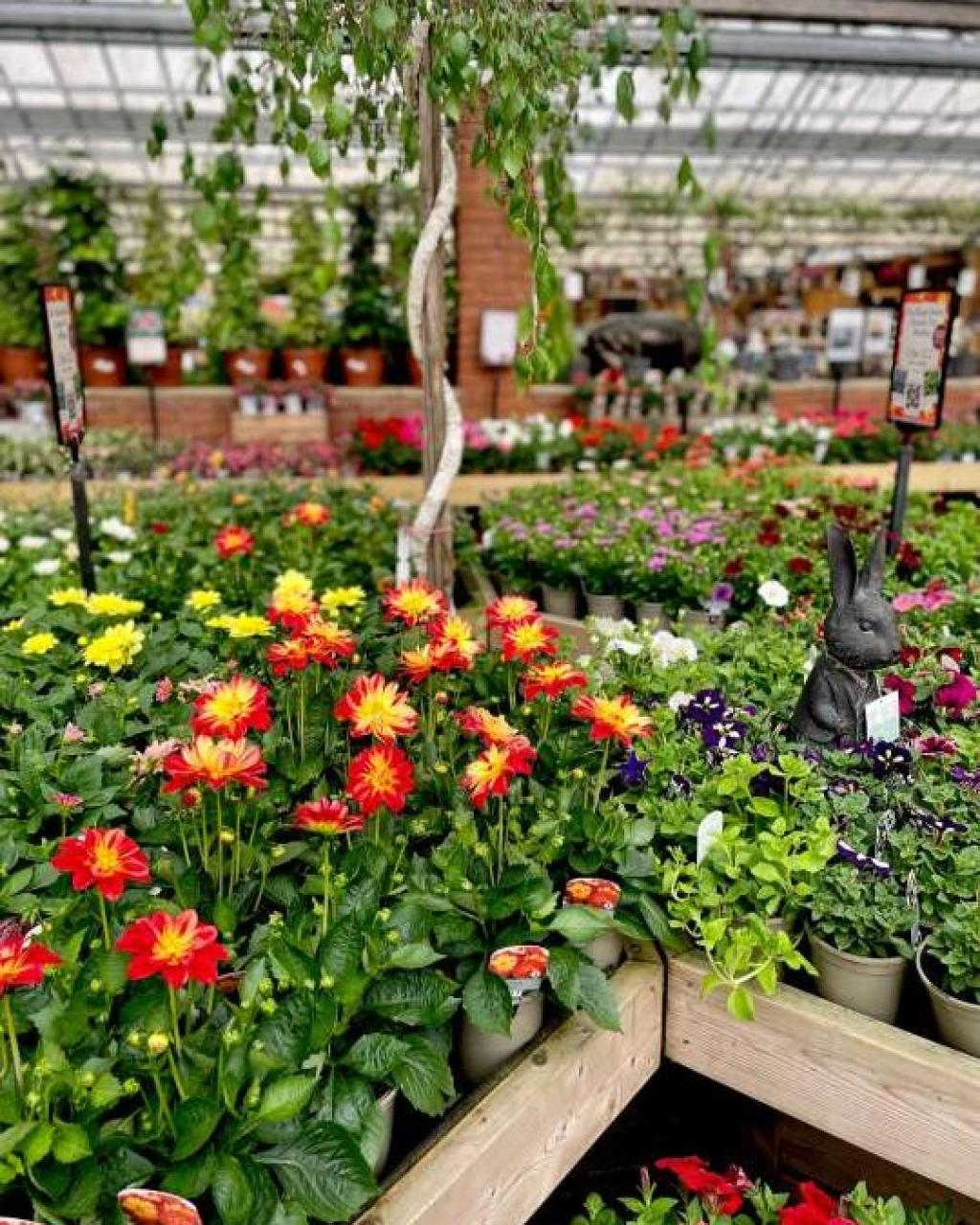Stewarts Garden Centre Christchurch
