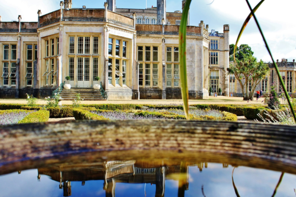 Highcliffe Castle: What to See, Prices and Planning Your Visit