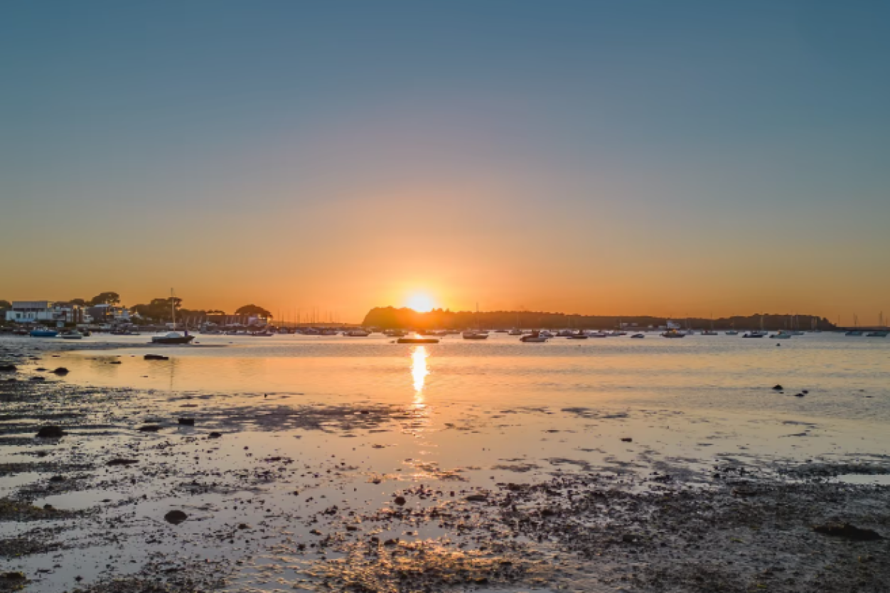 Poole Harbour in Dorset