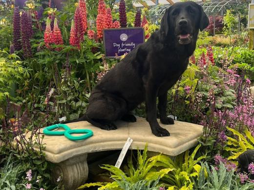 Haskins Garden Centre Ferndown